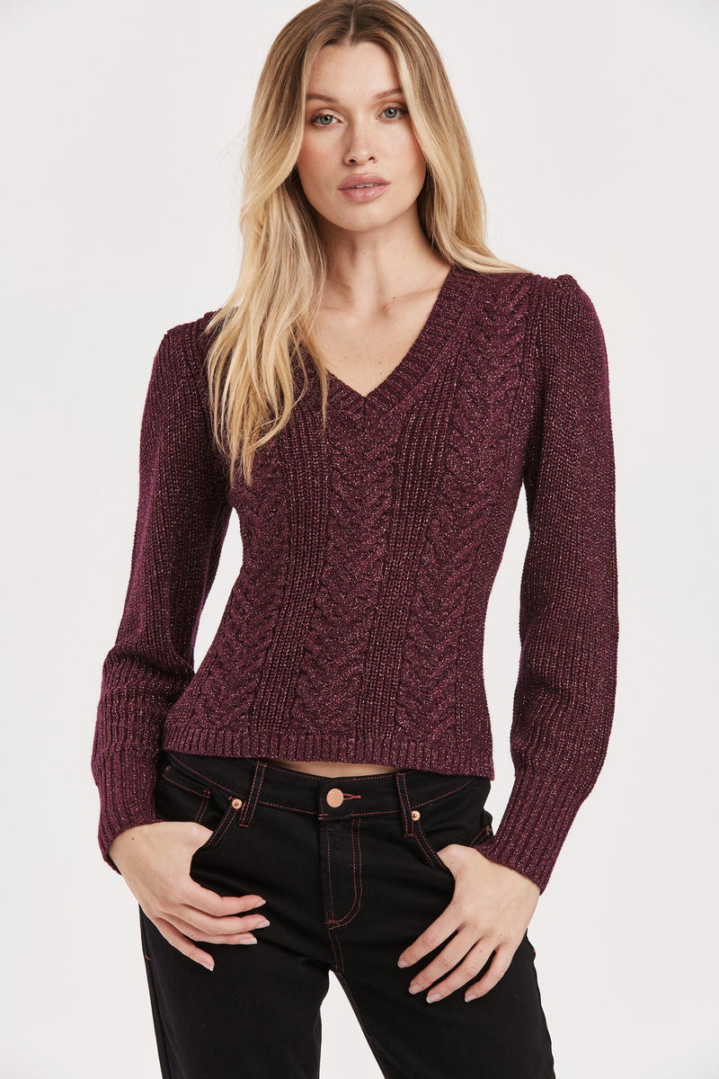 thalia-v-neck-sparkle-sweater-blackberry