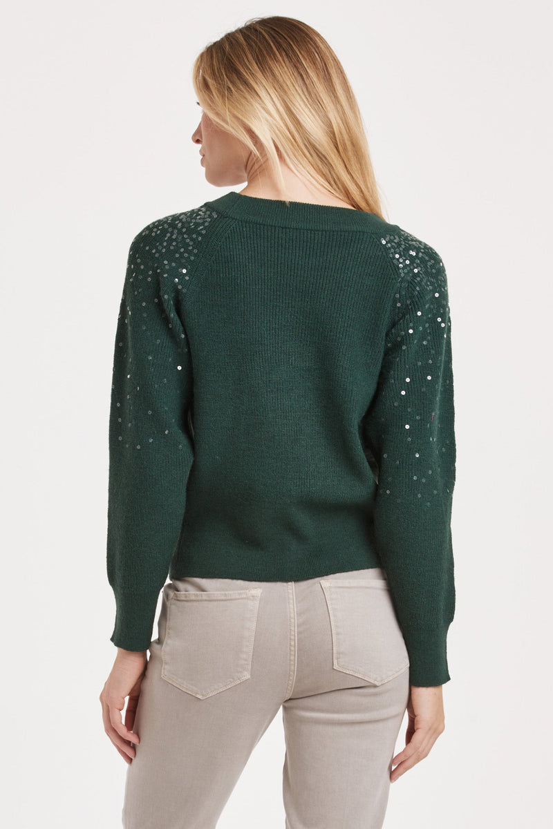 kathleen-sequin-raglan-sleeve-sweater-clover