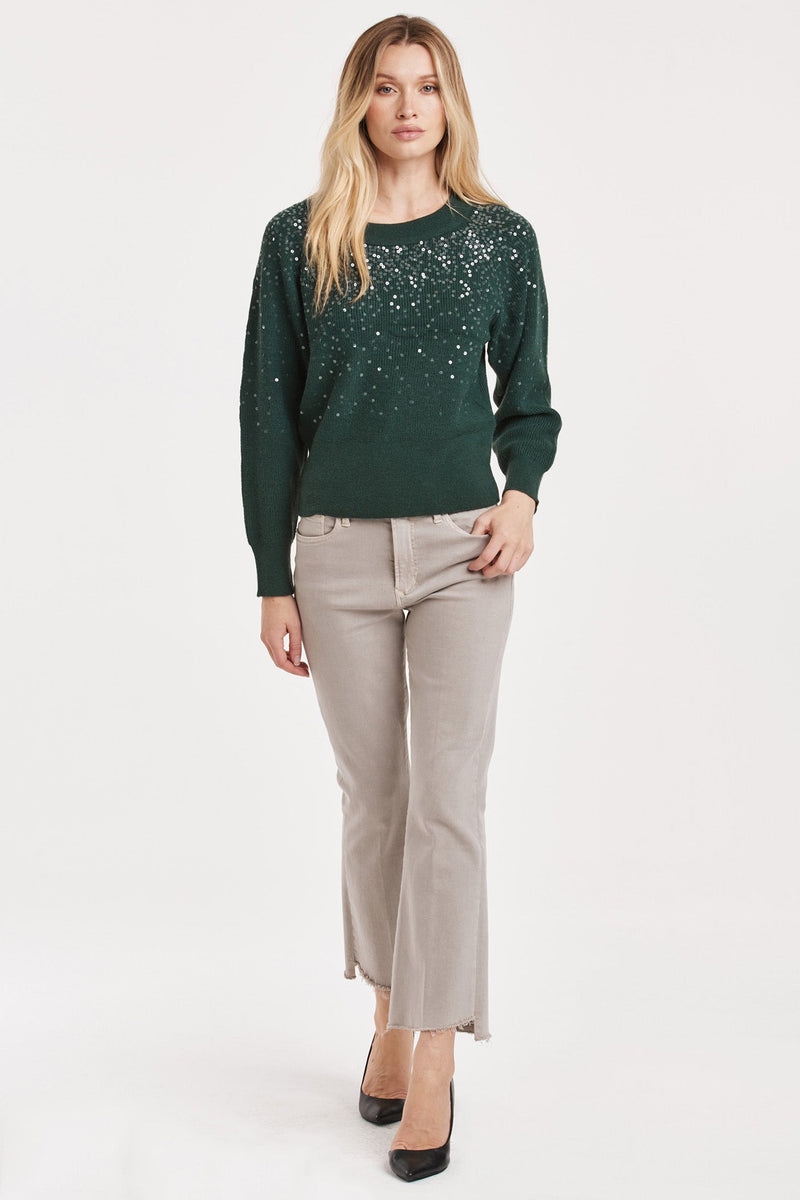 kathleen-sequin-raglan-sleeve-sweater-clover