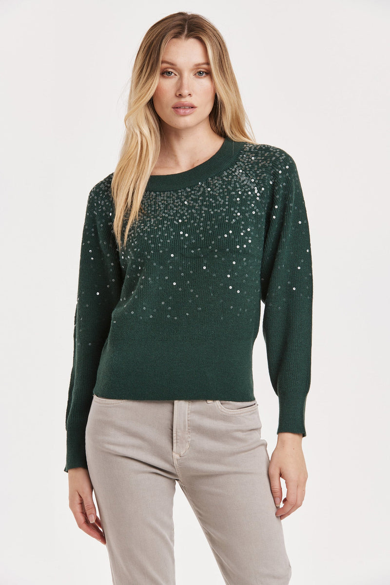 kathleen-sequin-raglan-sleeve-sweater-clover